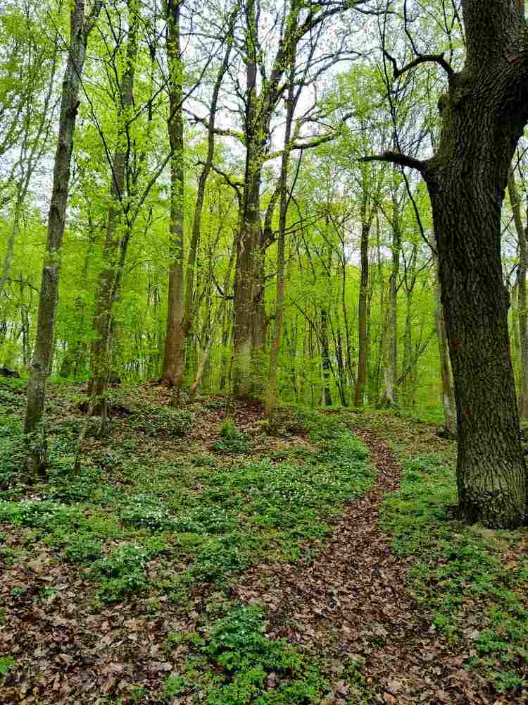 Photograph by Татьяна Солтан