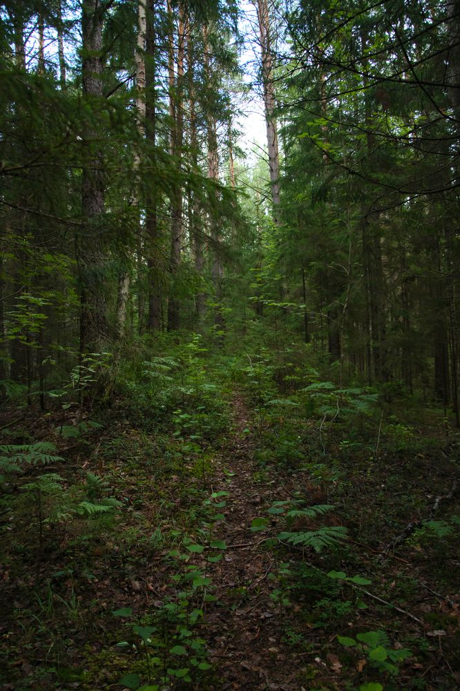 Photograph by Ксения Малютина