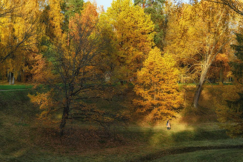 Photograph by Yulia