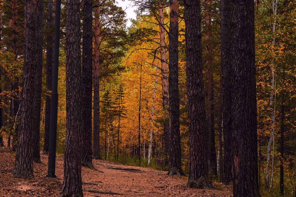 Photograph by Ната Богатова