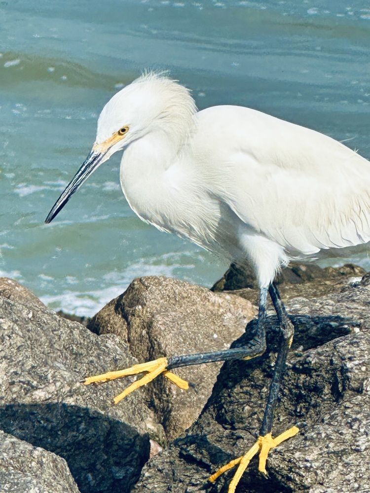 Фотография автора Regina Sant Anna
