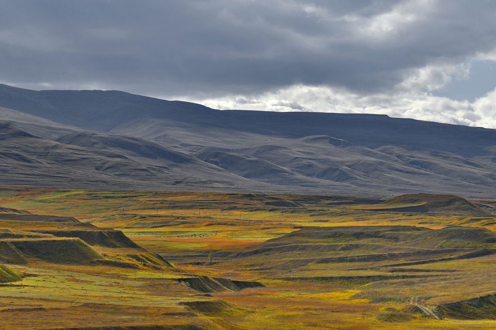 Photograph by Олег Корешонков