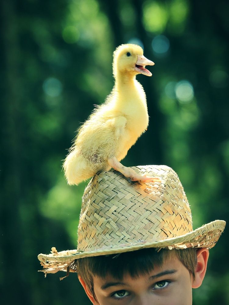 Фотография автора ira bolshakova