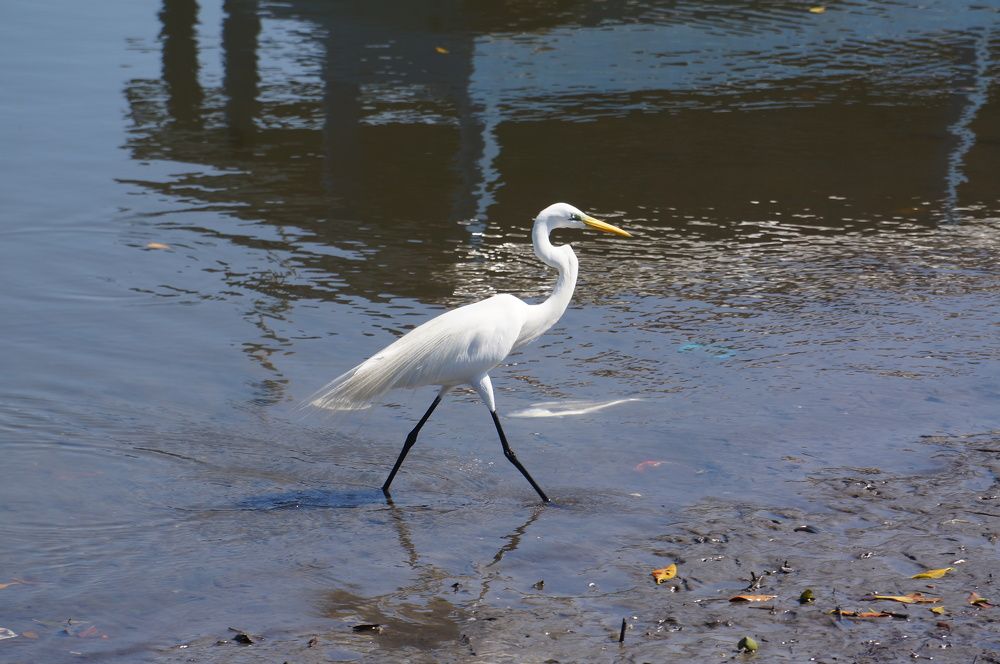 Фотография автора Regina Sant Anna