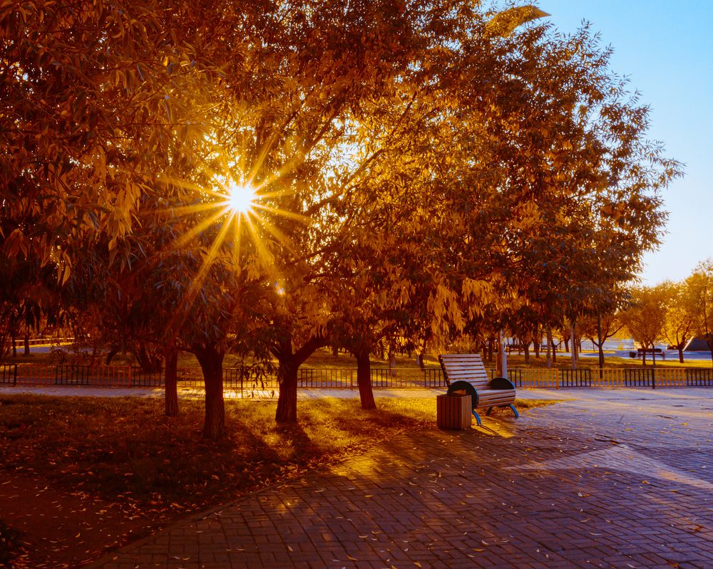 Photograph by Ната Богатова