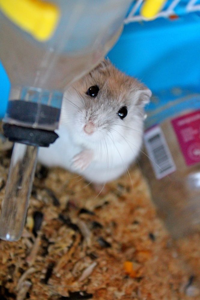 Photograph by Николай Немчанинов