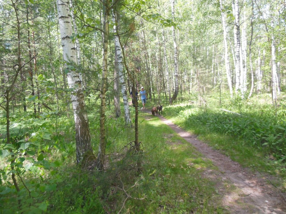 Фотография автора Клавдия Васильева