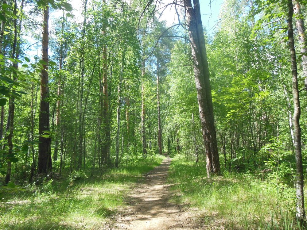 Фотография автора Клавдия Васильева