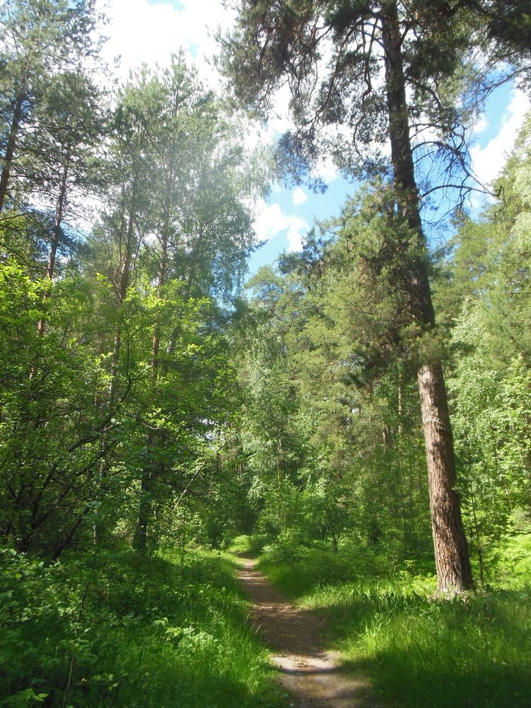 Фотография автора Клавдия Васильева