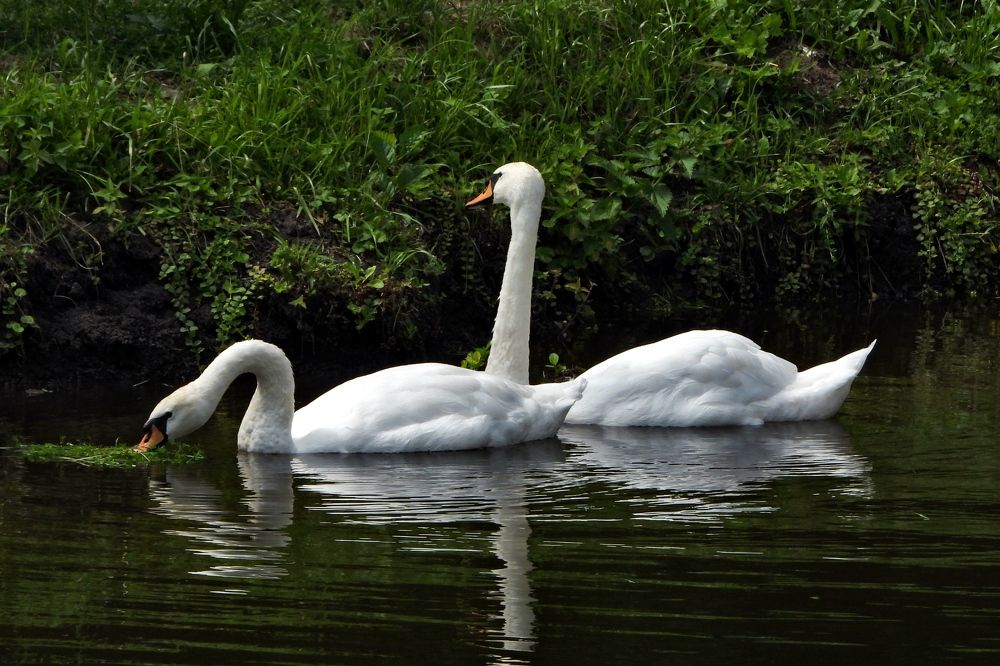 Photograph by DMITRIY DULIN