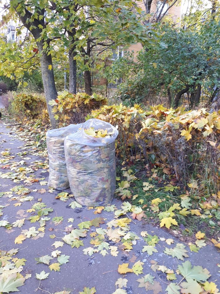 Photograph by Людмила Ковалева