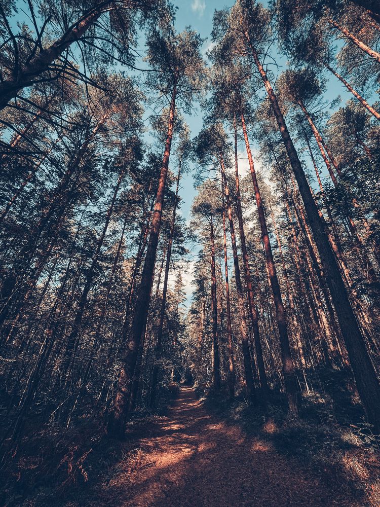 Photograph by Ilyas Kayumov