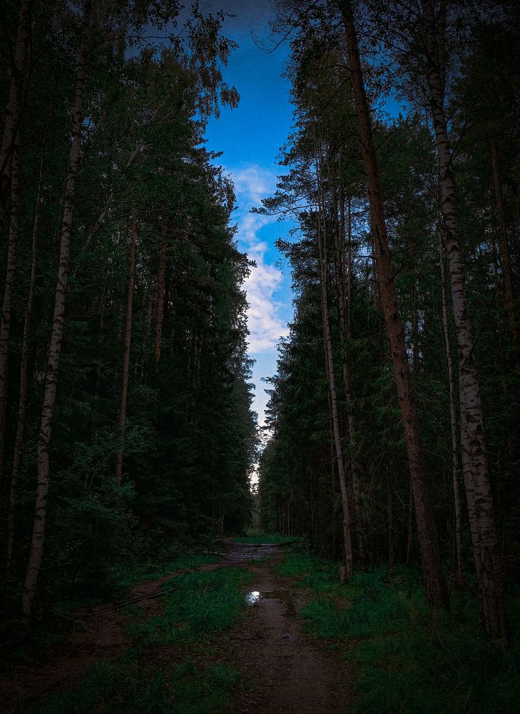 Photograph by Ilyas Kayumov