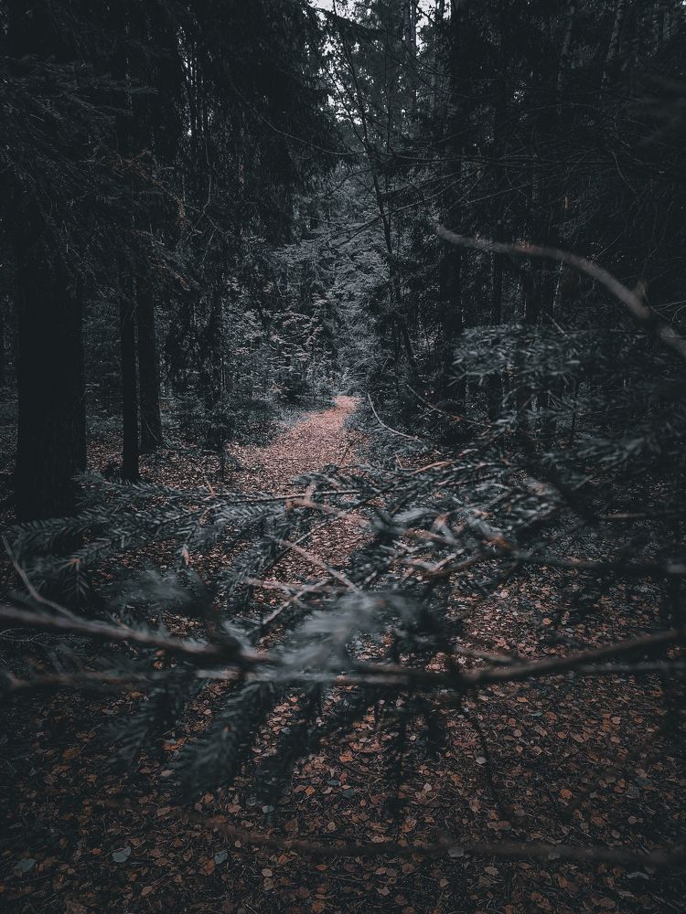 Photograph by Ilyas Kayumov