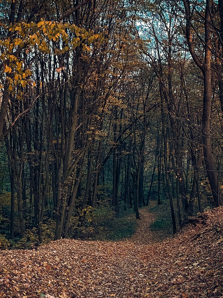 Фотография автора Ольга Каминская