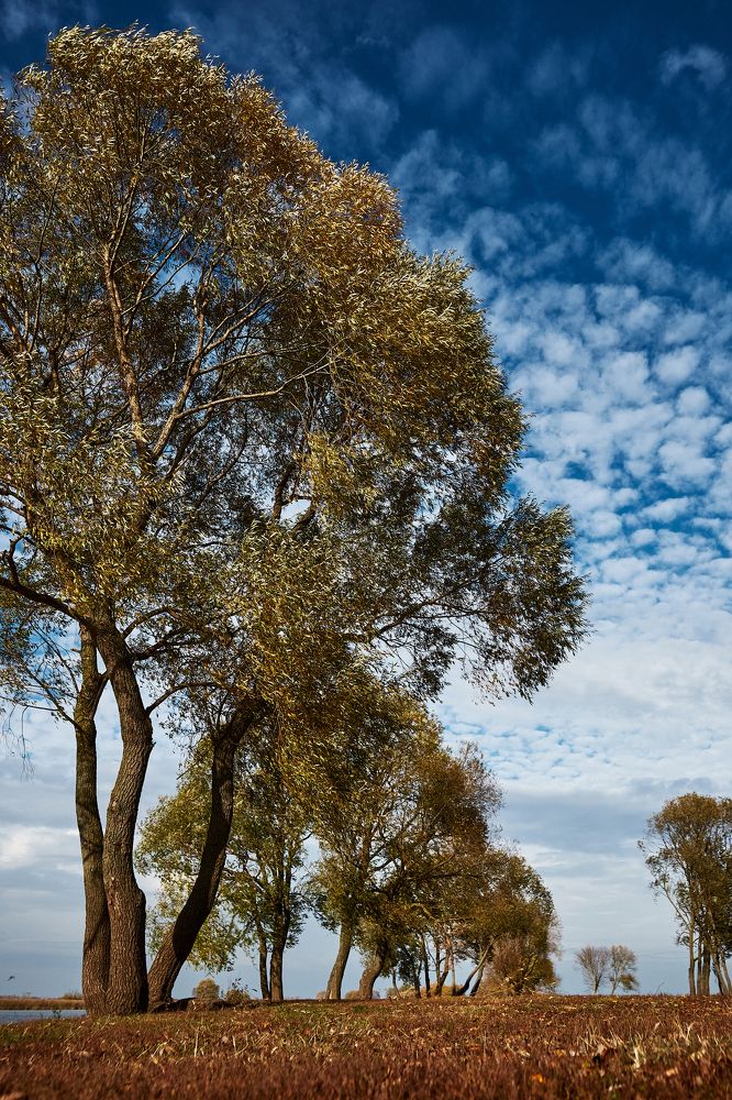 Photograph by Виктория Колышева