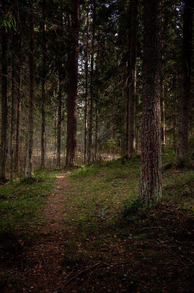 Photograph by Виталий Монахов