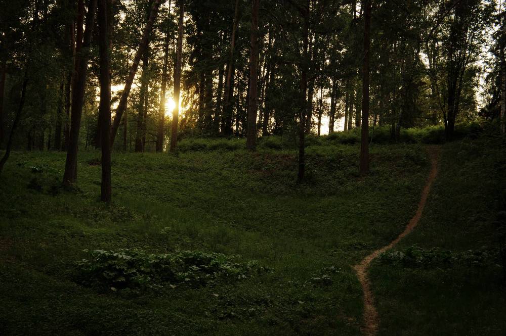 Photograph by Виталий Монахов