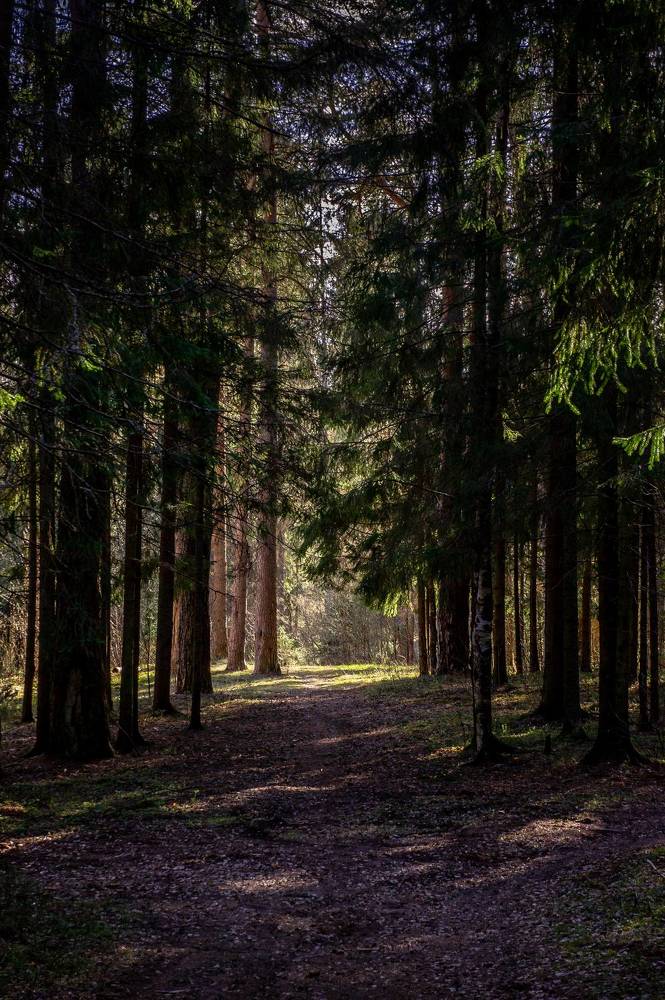 Photograph by Виталий Монахов