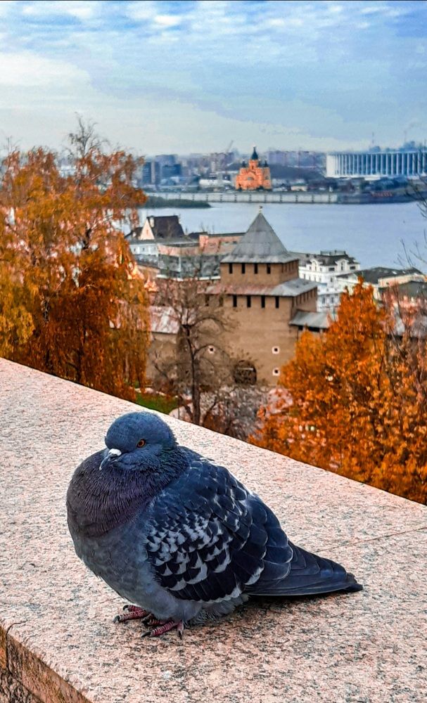 Photograph by Ольга Лазаренко