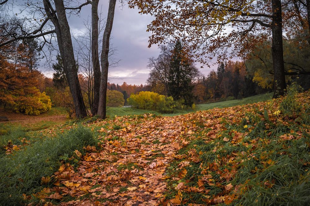 Photograph by Бабурин Олег