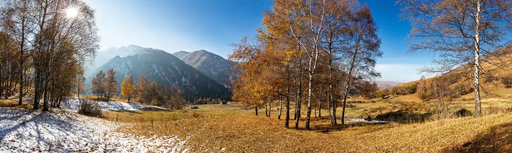Фотография автора Владимир Пронин