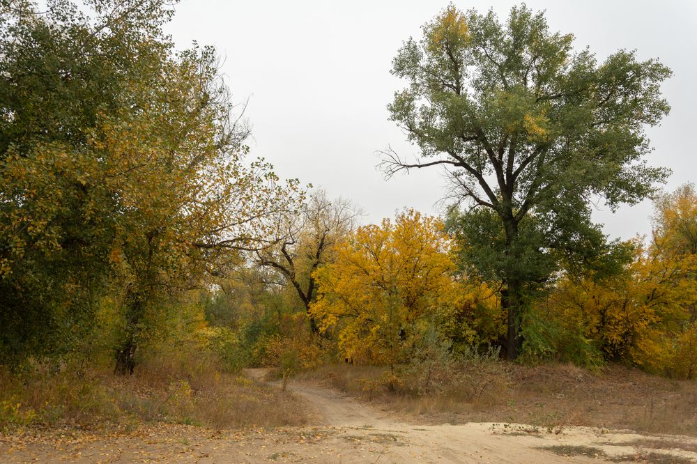 Photograph by Ольга Салтыкова