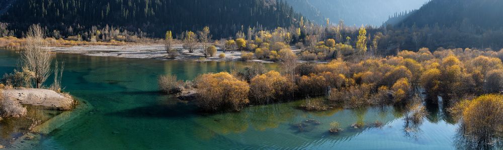 Фотография автора Владимир Пронин
