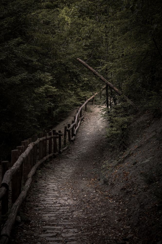 Фотография автора Vasilhs kolios