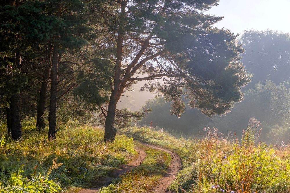 Photograph by Александр Строков