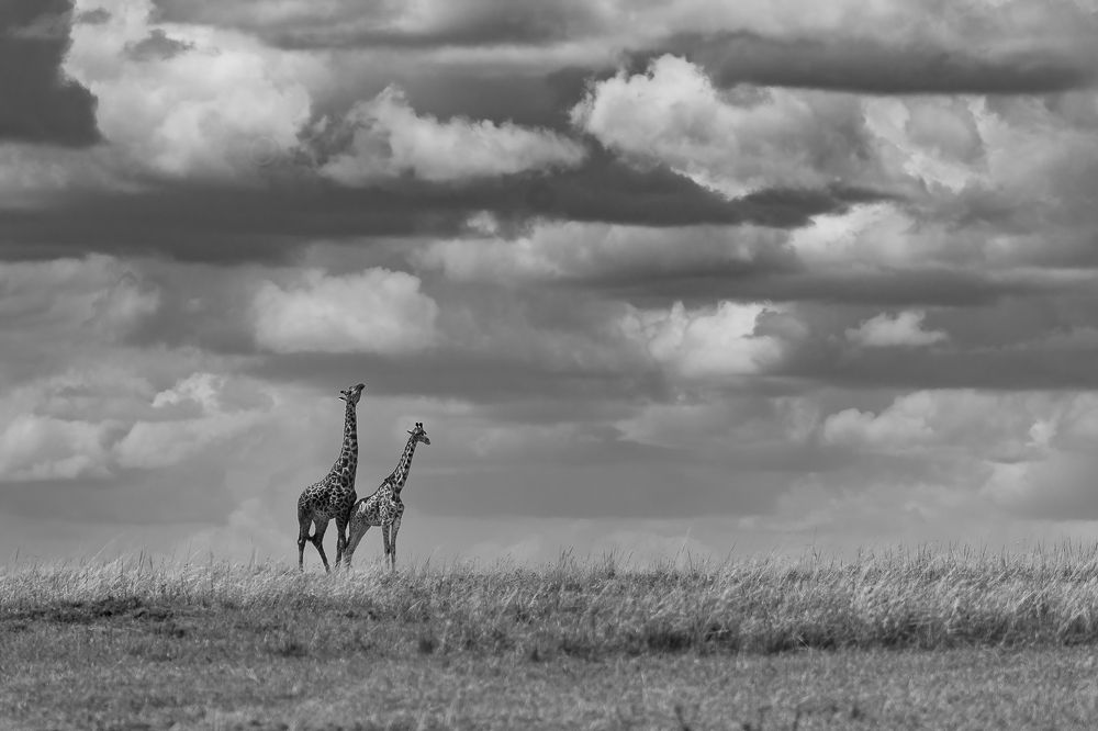 Photograph by Pothanis Sudhir