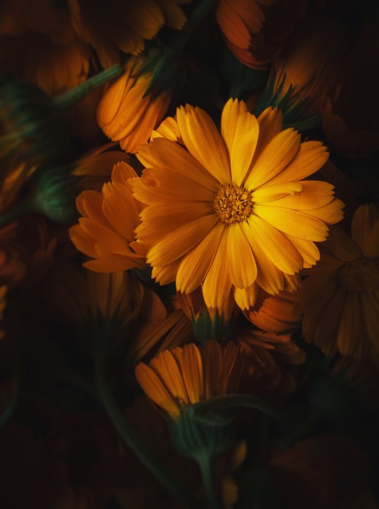 Photograph by Karina Aleksandrova