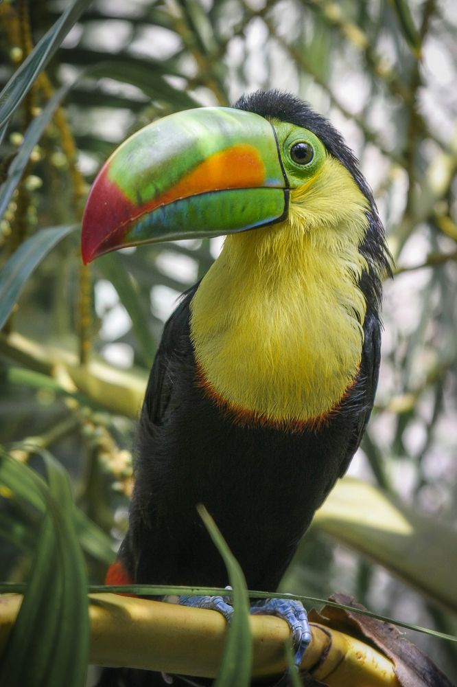 Фотография автора Анатолий