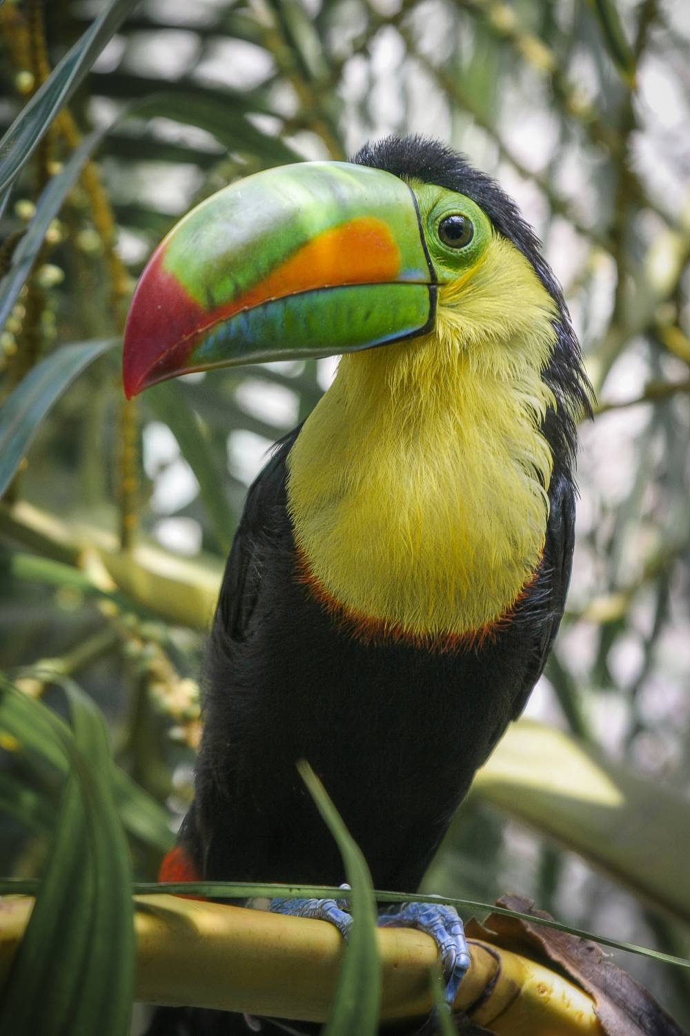 Фотография #11233579