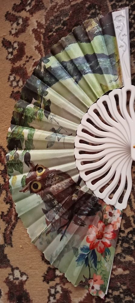 Photo #11233585