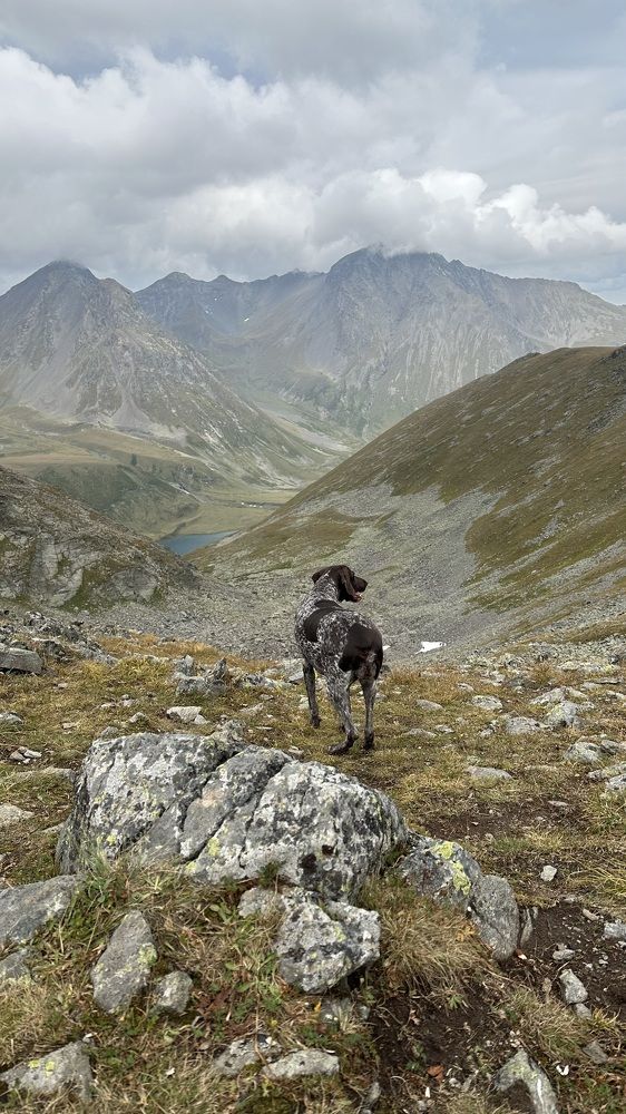 Photograph by Анастасия Волошина