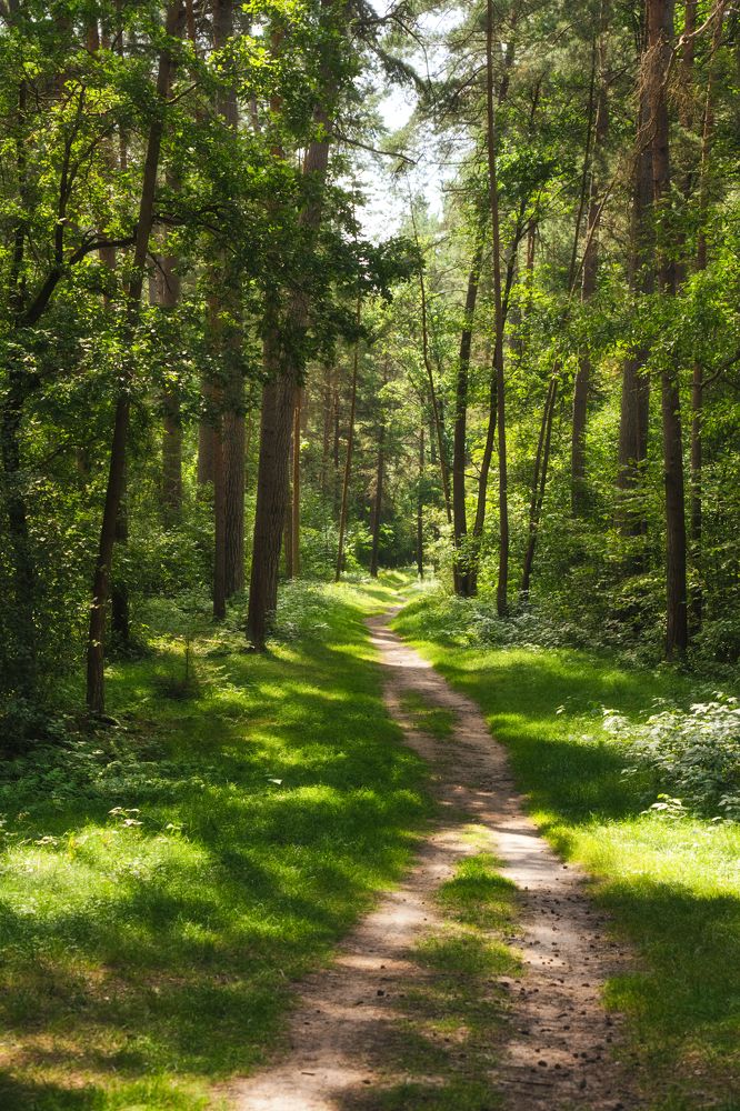 Photograph by Максим Серов