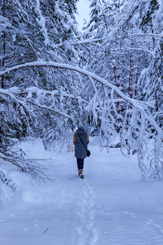 Photograph by Максим Серов