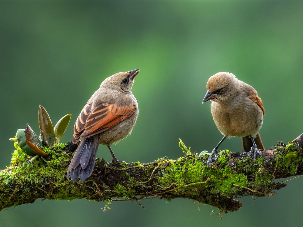 Photograph by Valdir Hobus