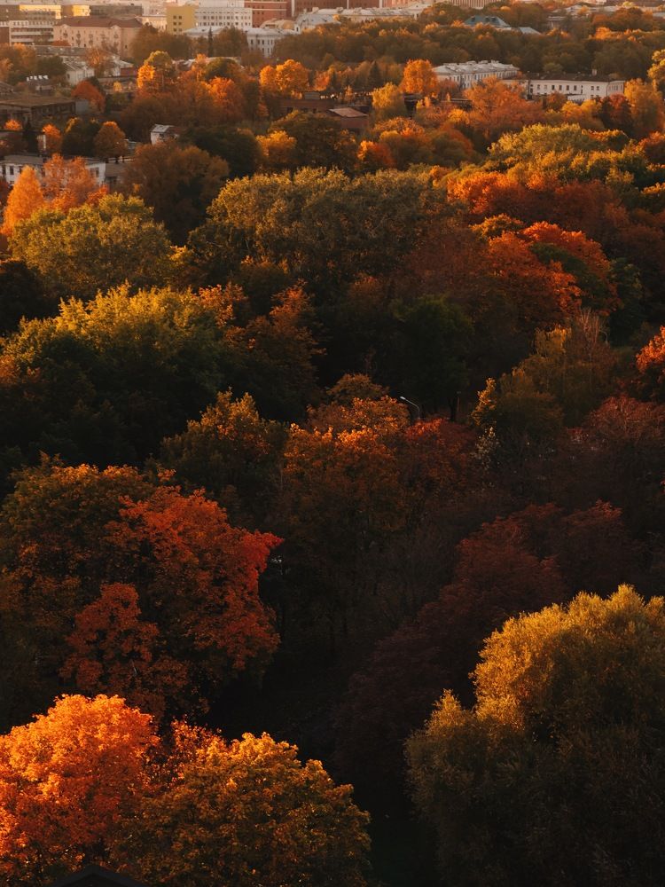 Photograph by Karina Aleksandrova