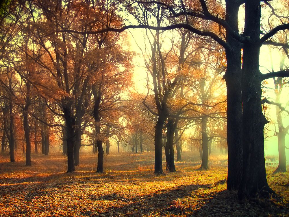 Photograph by Виктор Карпухин