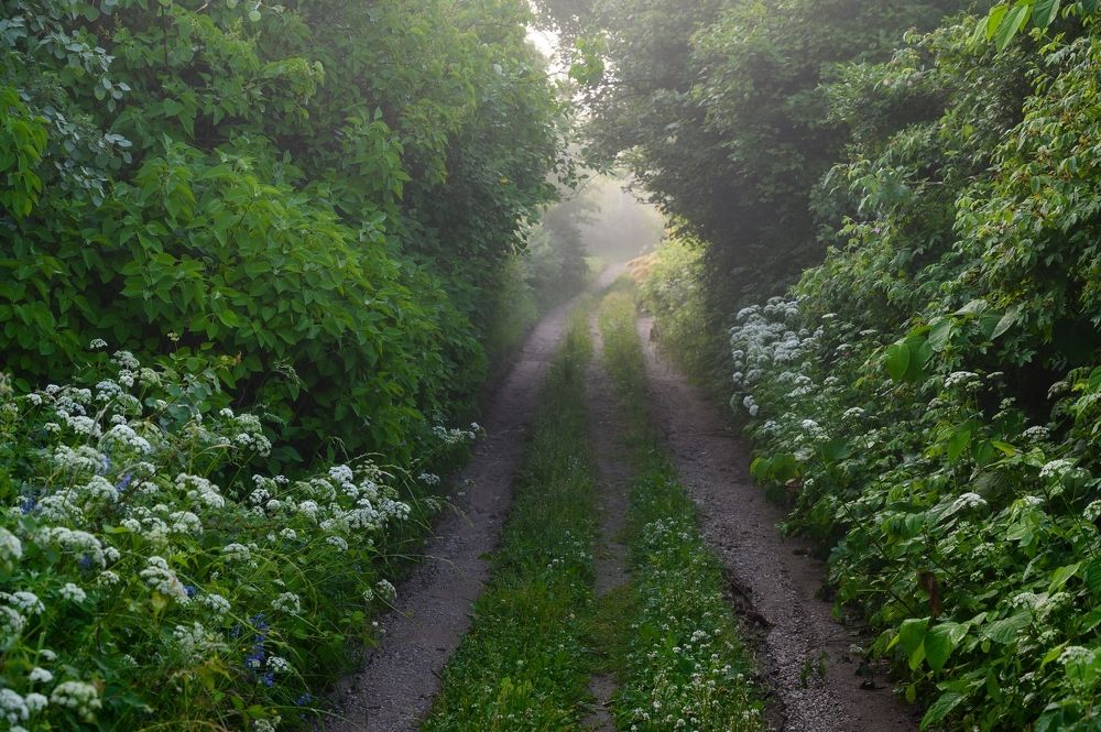 Photograph by Roman Dmitriev