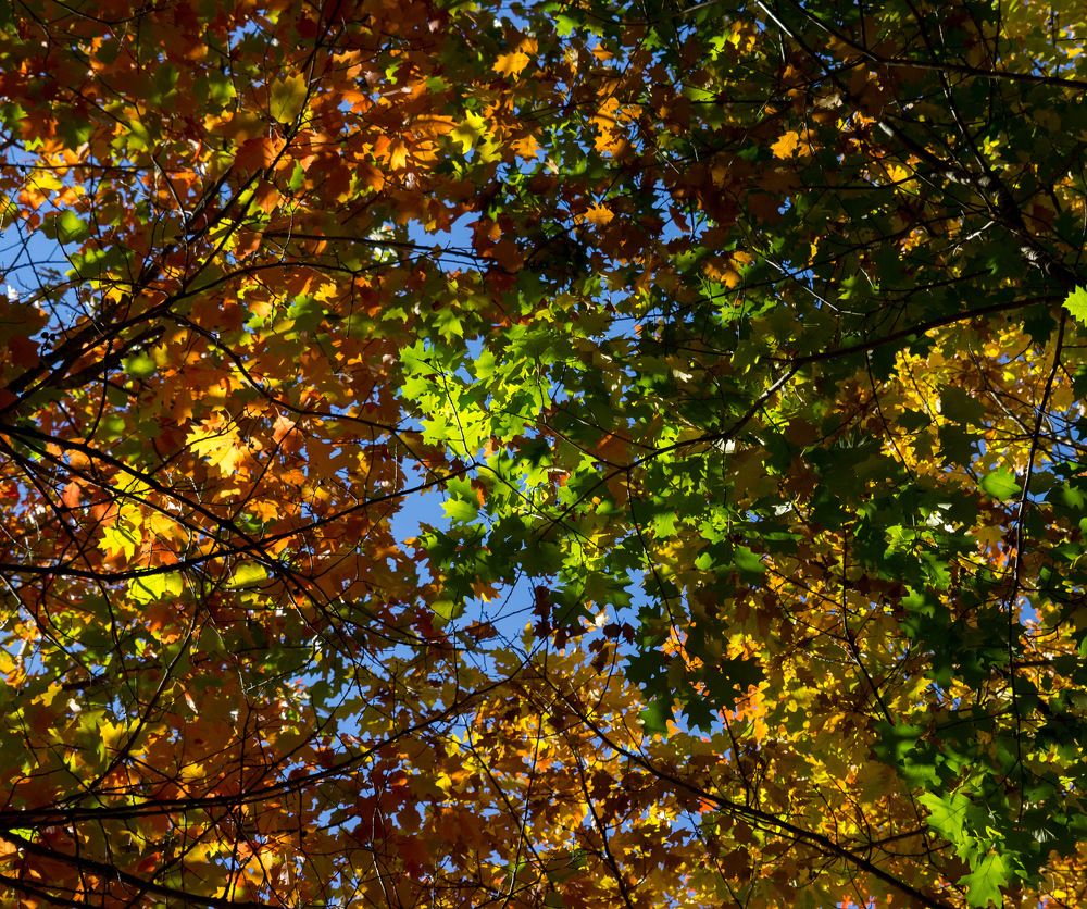 Photograph by Вячеслав