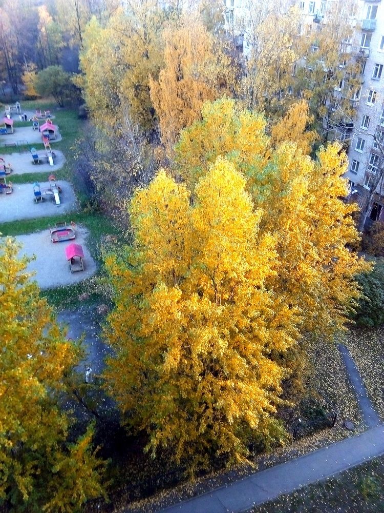 Осень с девятого этажа