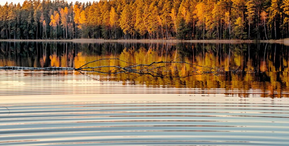 Photograph by Galina