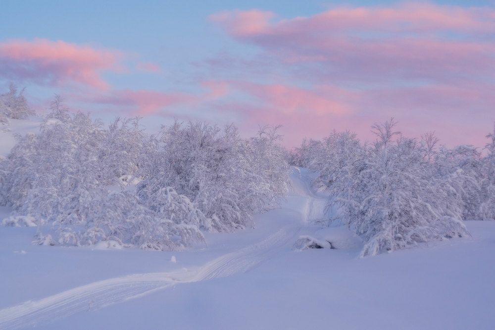 Photograph by Марина Зборацкая