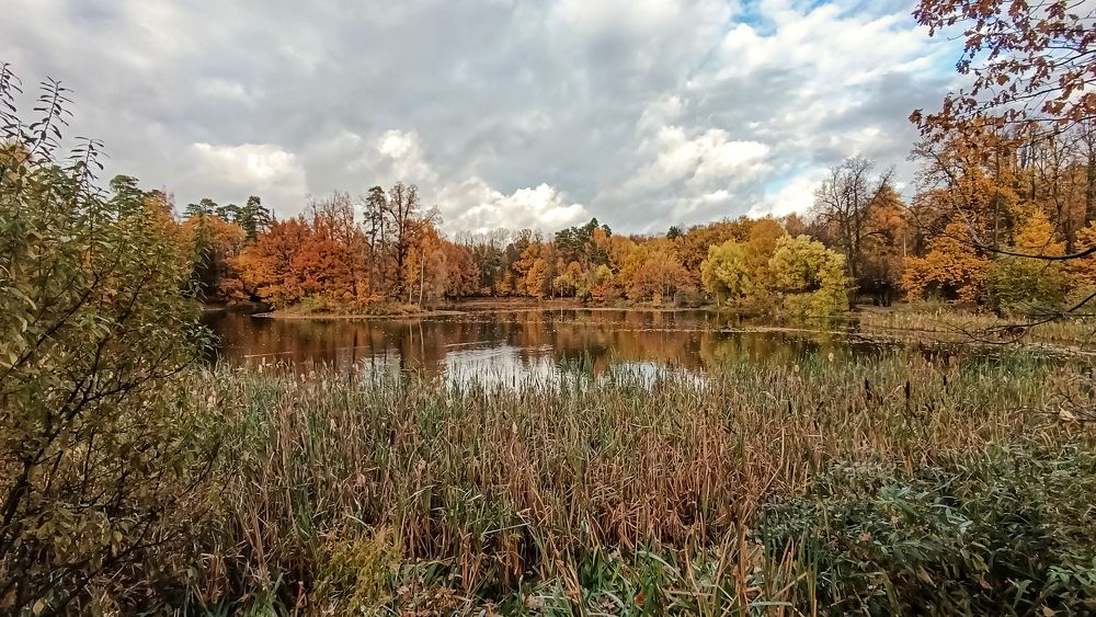 Photograph by Владимир Ковжаров