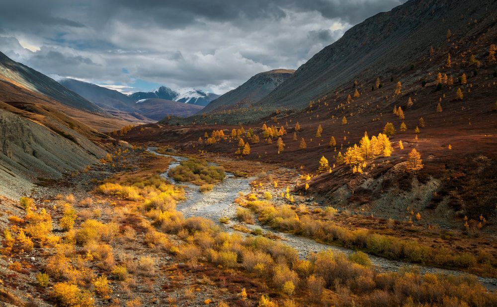 Photograph by Lora Pavlova