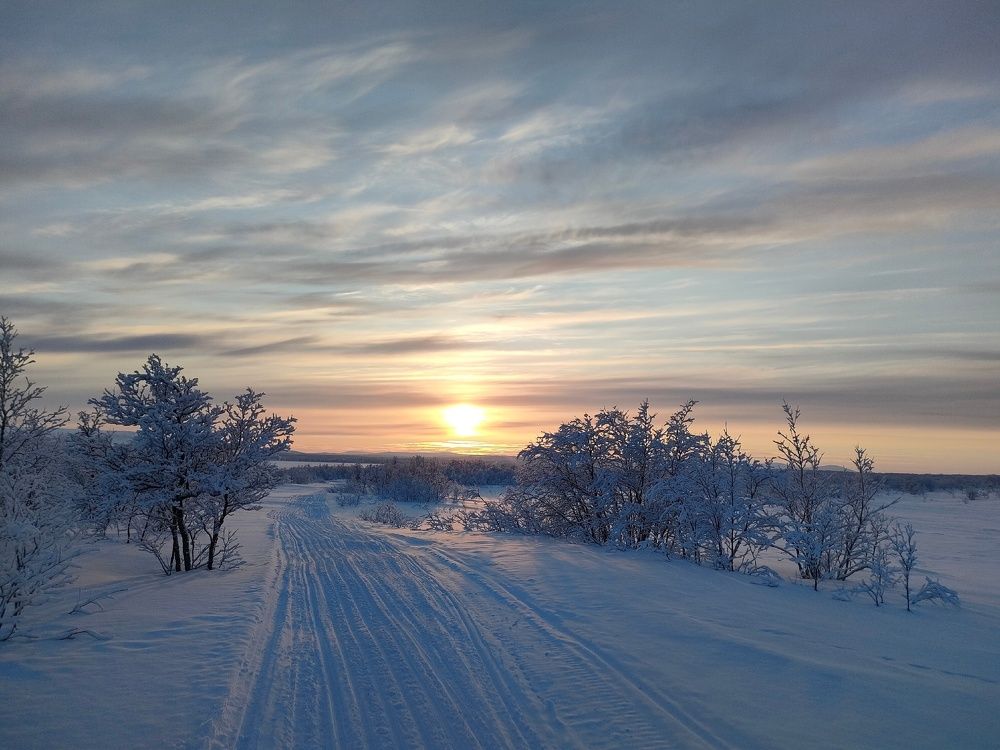 Photograph by Марина Зборацкая