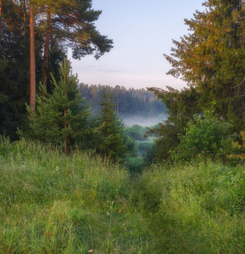 Photograph by  Михаил